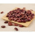 Kidney Beans For Baby